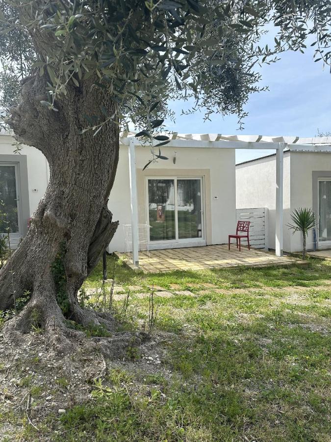 Frontemare Hotel Village & Ristorante Rodi Garganico Extérieur photo