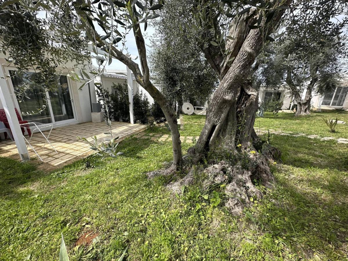 Frontemare Hotel Village & Ristorante Rodi Garganico Extérieur photo